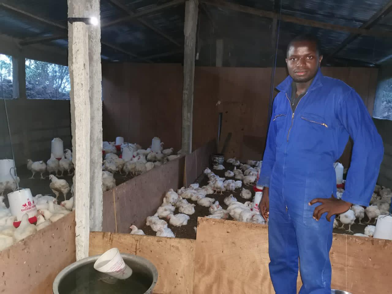 image Un jeune de la diaspora se lance dans l’aviculture à Irohé