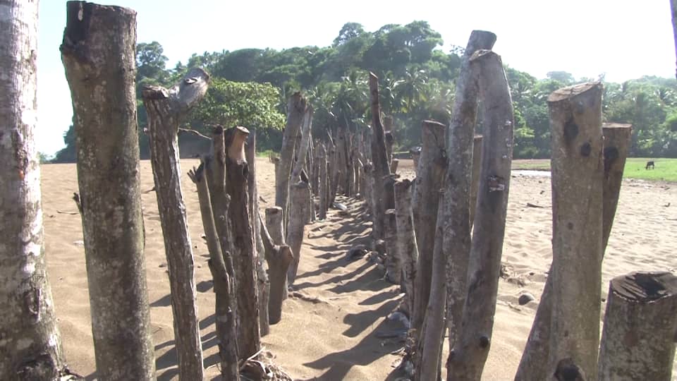 image Une digue en bois à Hamavouna pour réduire la force des vagues