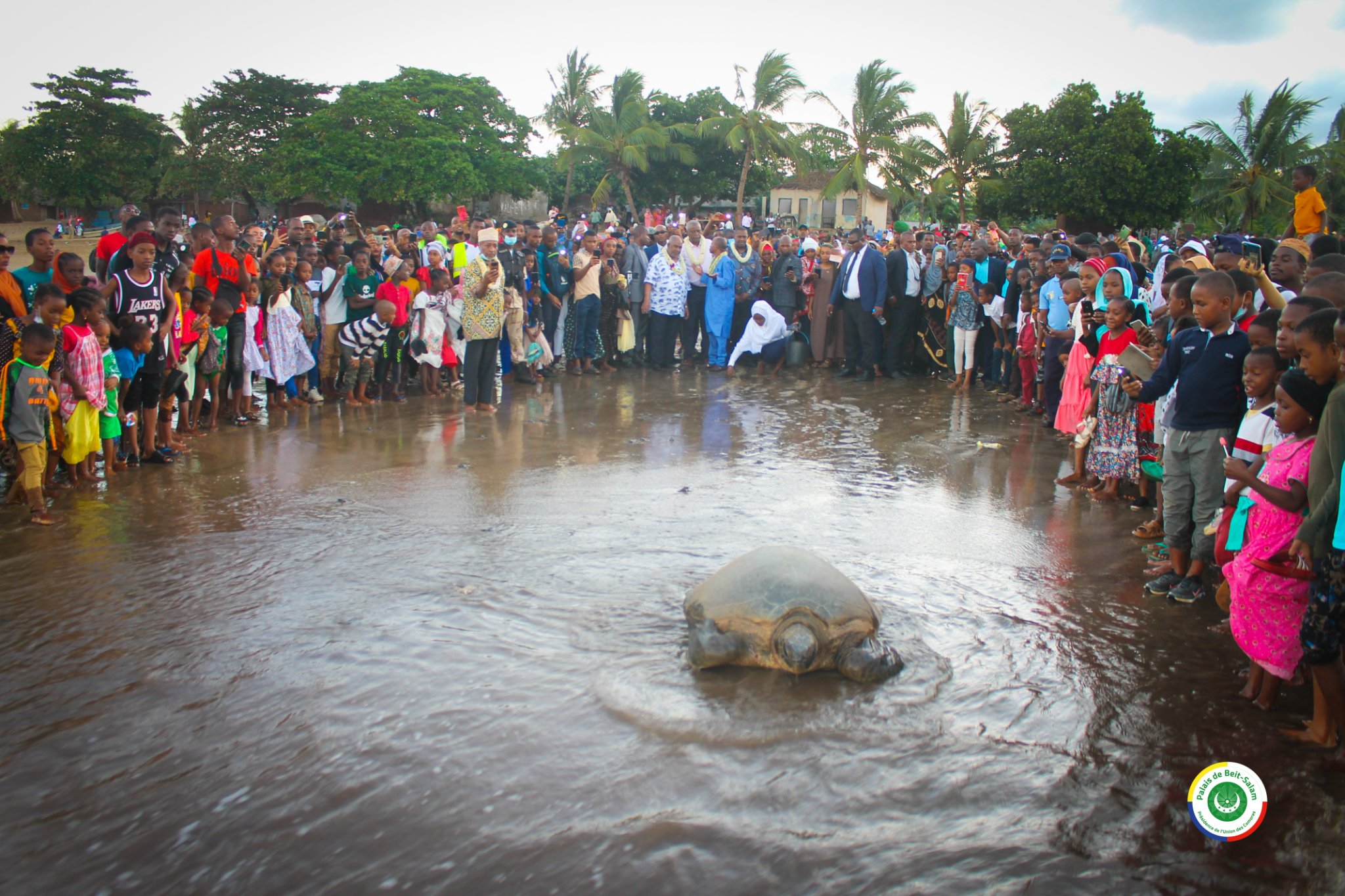 image Journée de la tortue marine: Vers la création d'une brigade contre le braconnage de tortue marine