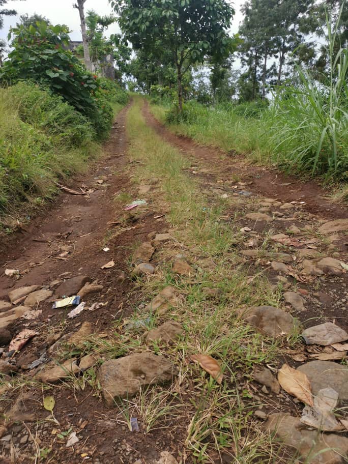 Près de 6km de pistes rurales seront ouvertes dans le Nyumakele