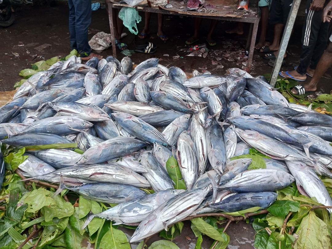 image Le prix du poisson en baisse à Anjouan