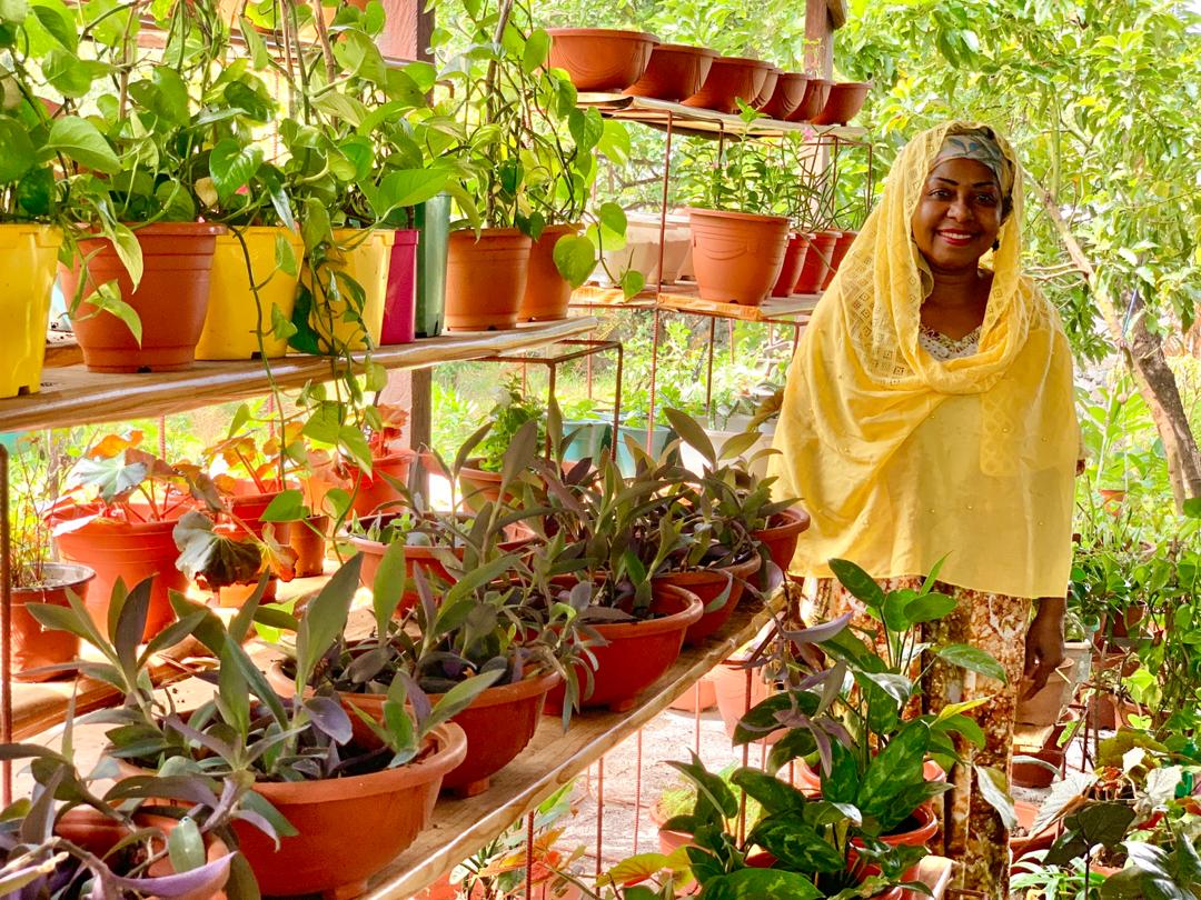 A la découverte des plantes florales et médicinales avec le Jardin le Camélia