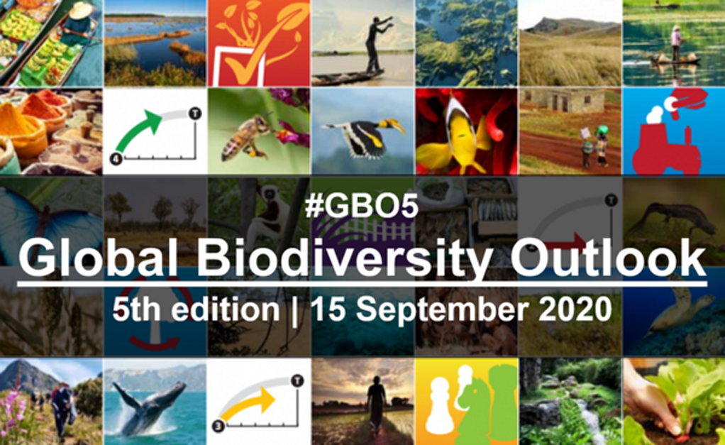 Biodiversité mondiale: un constat alarmant