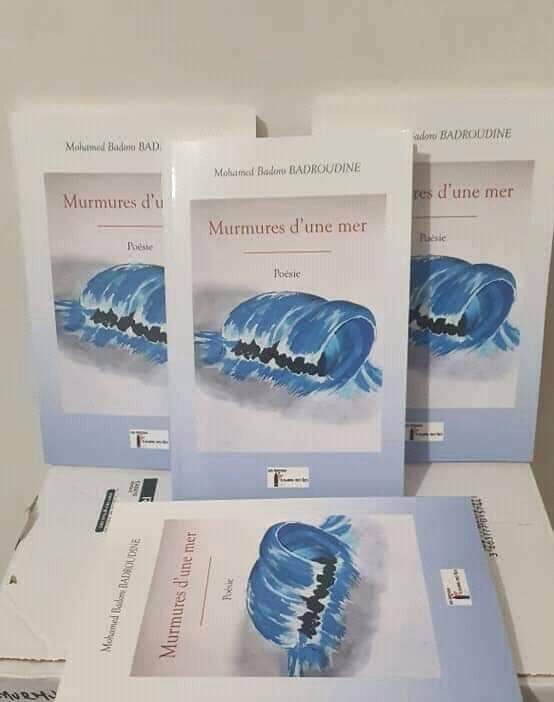 image Livre : « Murmures d’une mer », quand l’auteur invite au périple