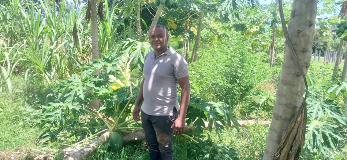 image Impacts du cyclone Chido : Fayçal enregistre une perte agricole de 25 à 30%