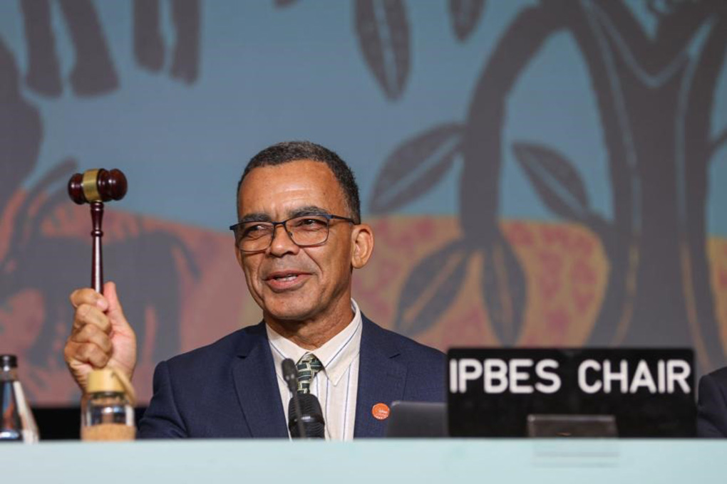 image Plateforme intergouvernementale scientifique et politique sur la biodiversité : La biodiversité est fondamentale pour la santé de la planète