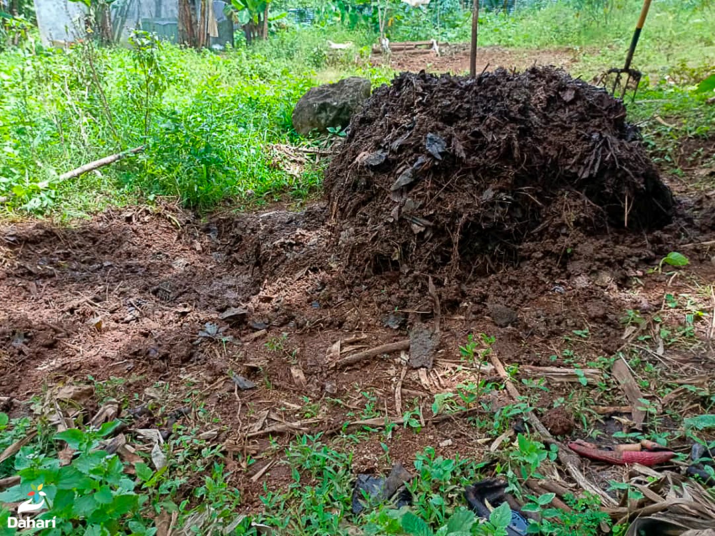 image Journée mondiale des sols : Des résultats prometteurs pour un compost durable