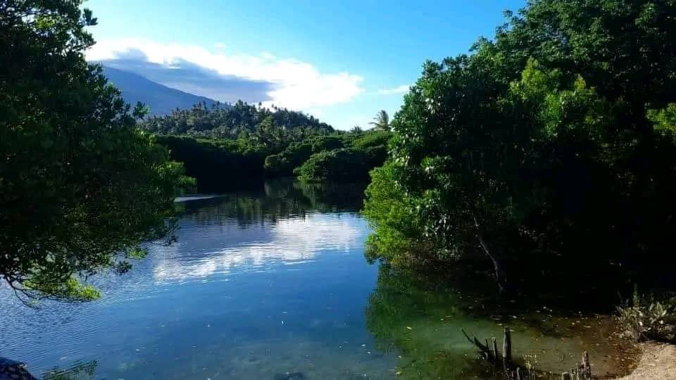 Lac Nkabwe : Le joyau naturel d’Iconi aux arbres immergés