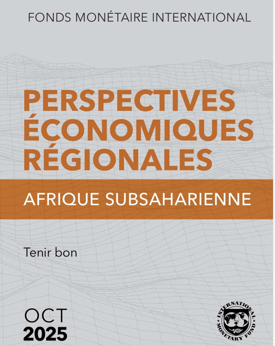 Perspectives économiques en Afrique: Une économie résiliente, mais à surveiller de près