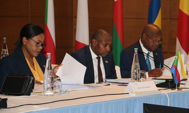 image Ve Sommet de la COI : Un agenda chargé pour le chef de la diplomatie
