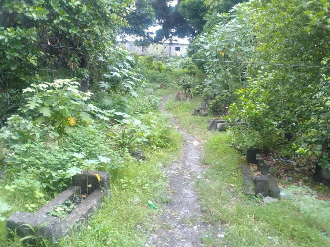 image Mobilisation citoyenne :  Redonner vie au cimetière de Magudjou