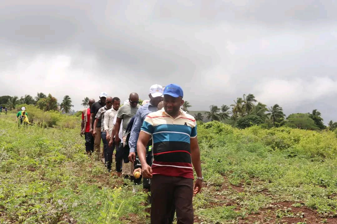 Agriculture:  Lancement de nouvelles fermes agricoles