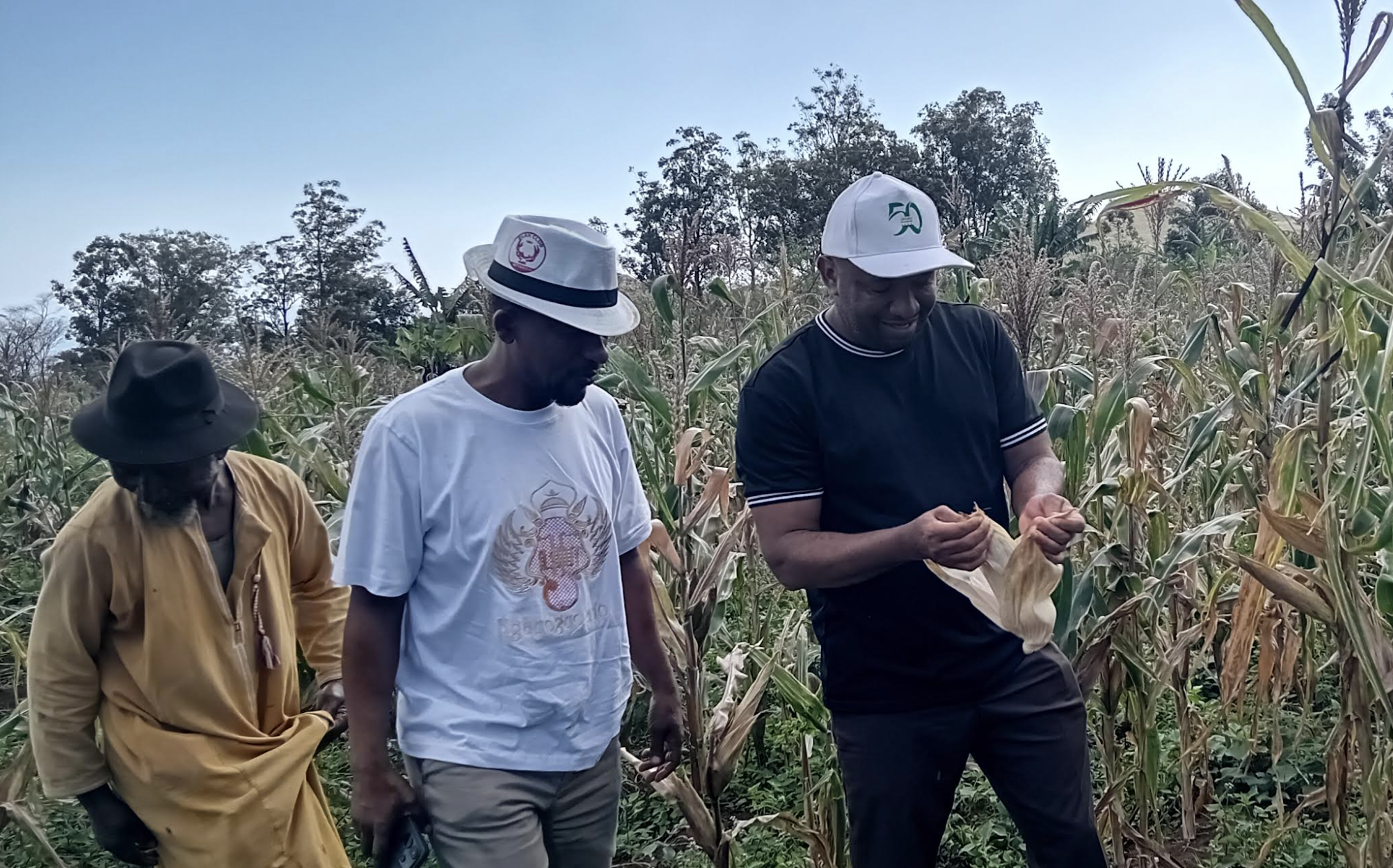 image Agriculture:  Vers des semences à cycle court