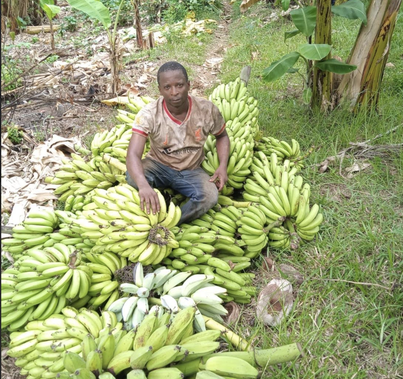 image Mboimadji :  Des récoltes abondantes, mais toujours enclavées