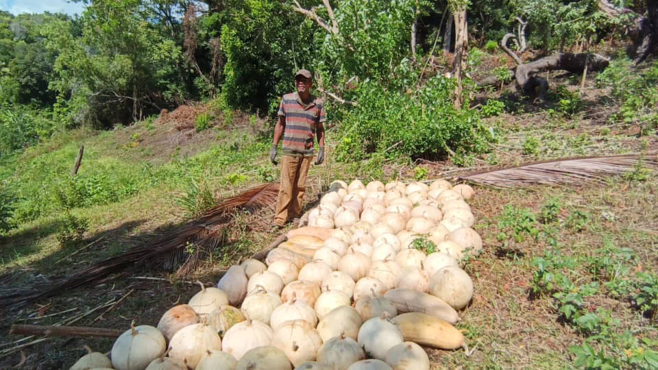 De chauffeur de taxi à agriculteur prospère : La réussite inspirante de Mirhane Absoir