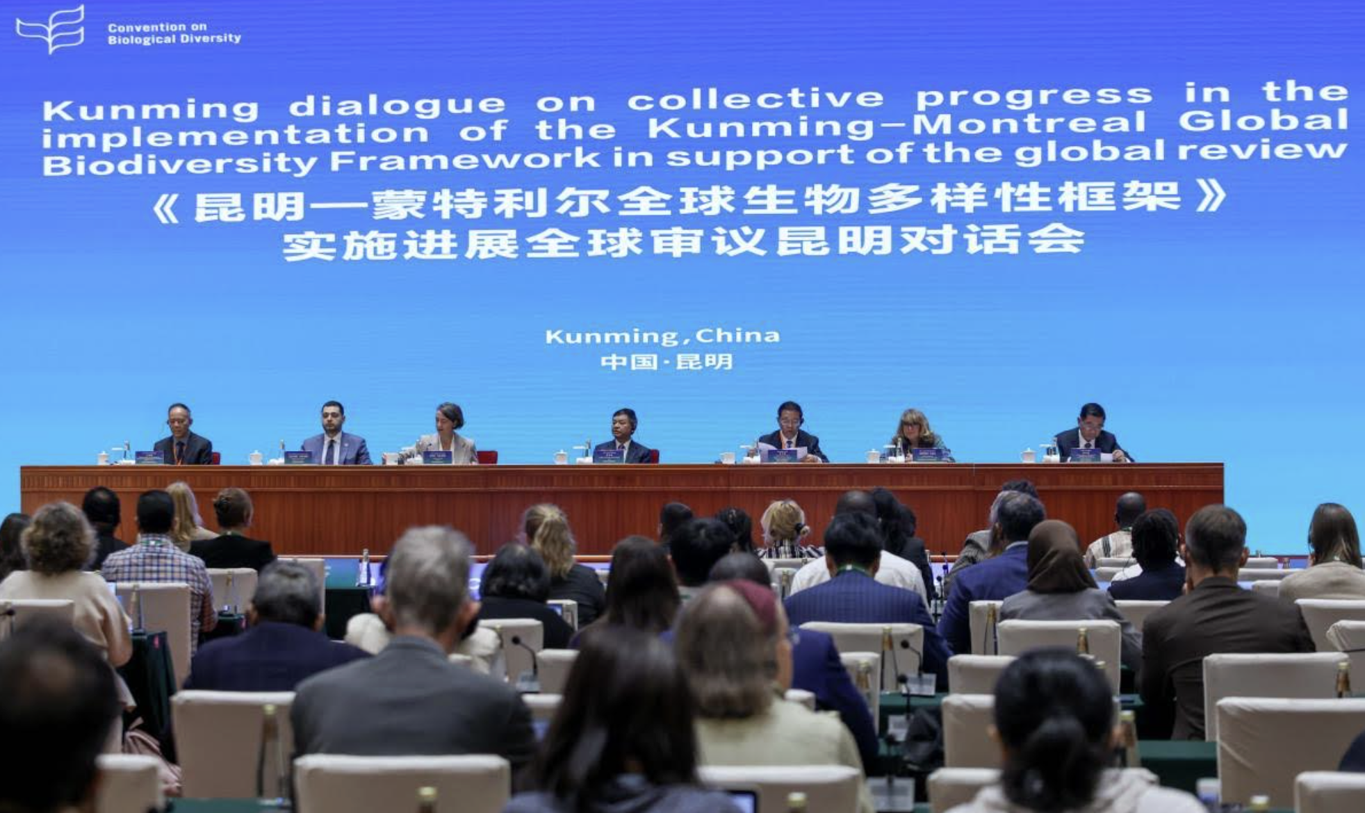 Préparation de la COP 17 sur la Biodiversité: Dialogue sur le Cadre mondial de Kunming-Montréal pour la biodiversité