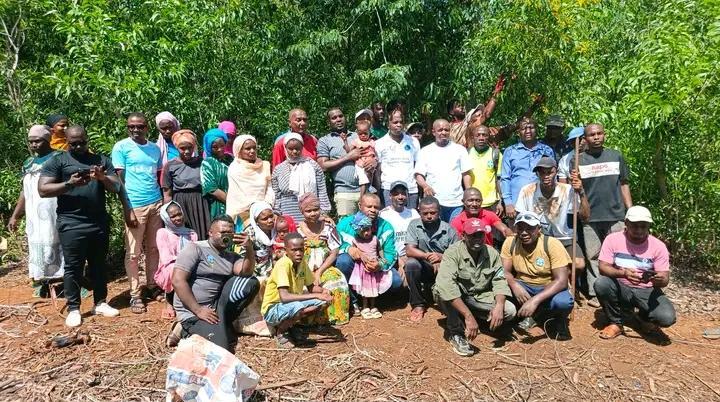 image Journée de l’arbre sous le signe de l’engagement collectif: Hagnamoida se mobilise pour la planète