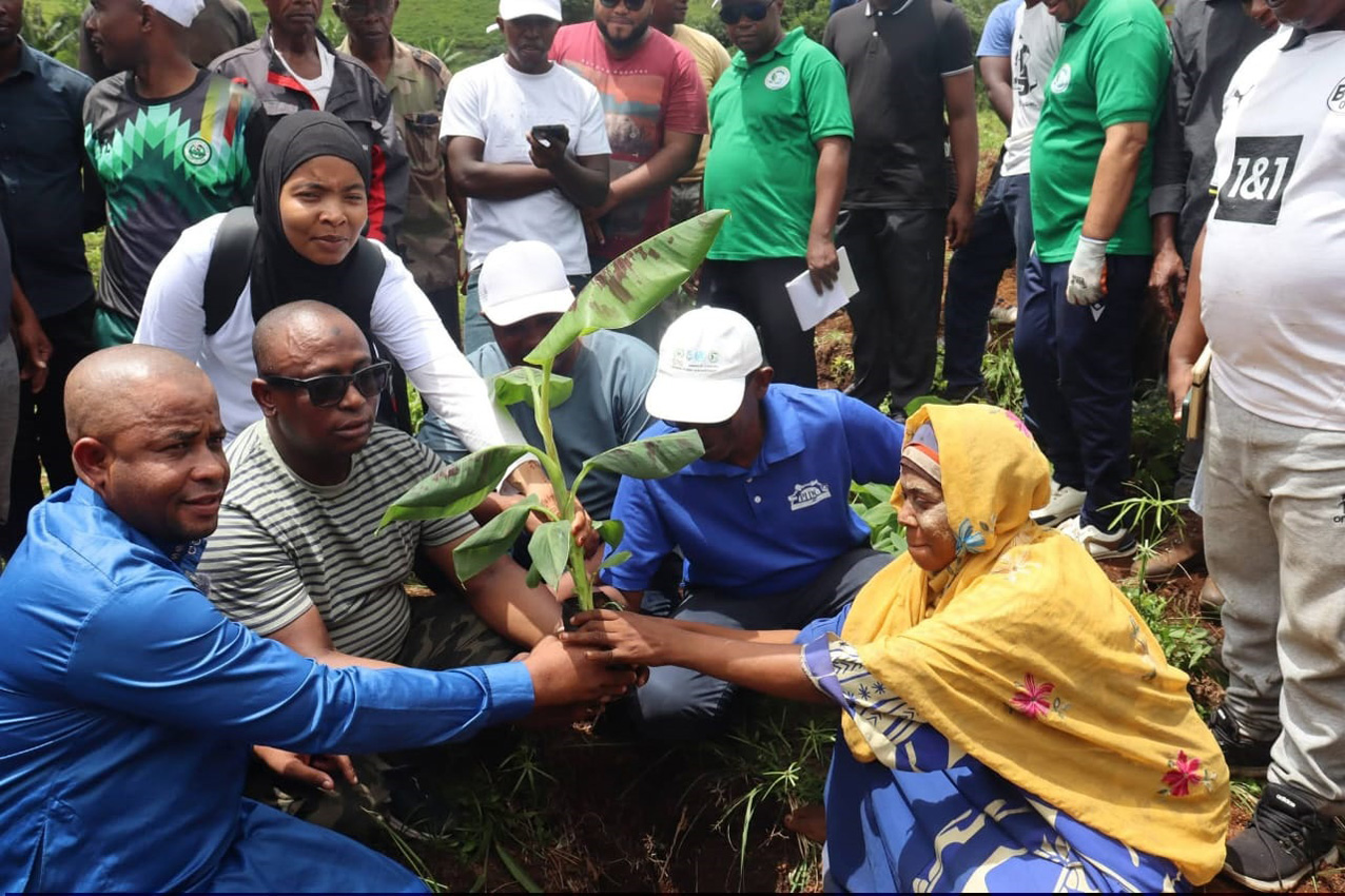 image Agriculture : Plantation des plants de bananiers à Madjeoueni