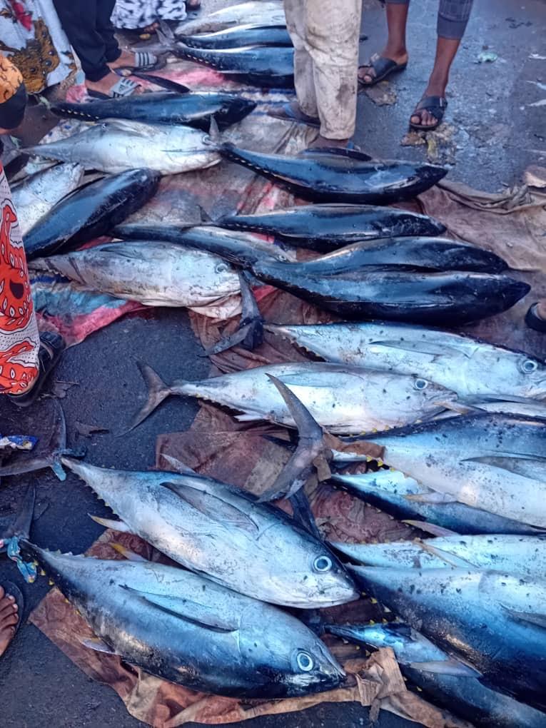 image Ramadan à Moroni :  Le poisson entier se vend au prix fort malgré le jeûne