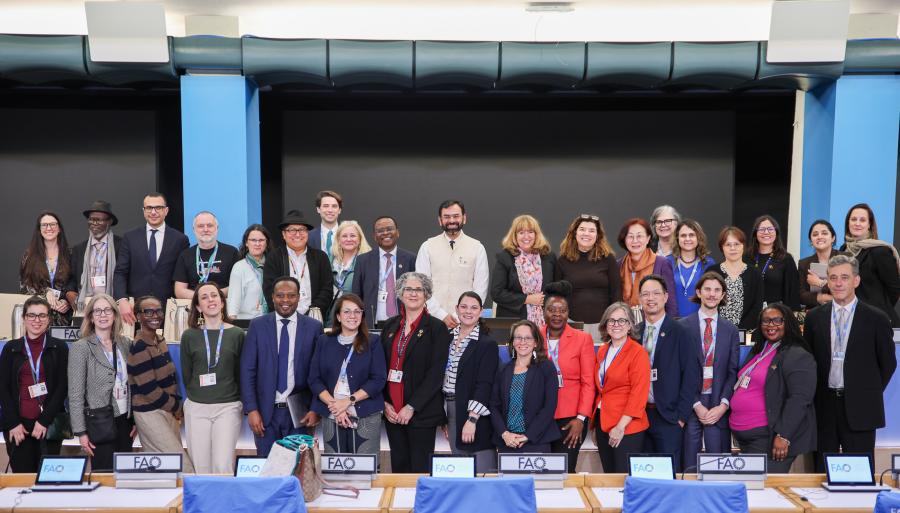 image Biodiversité: Clôture de la sixième réunion de l'Organe de mise en œuvre