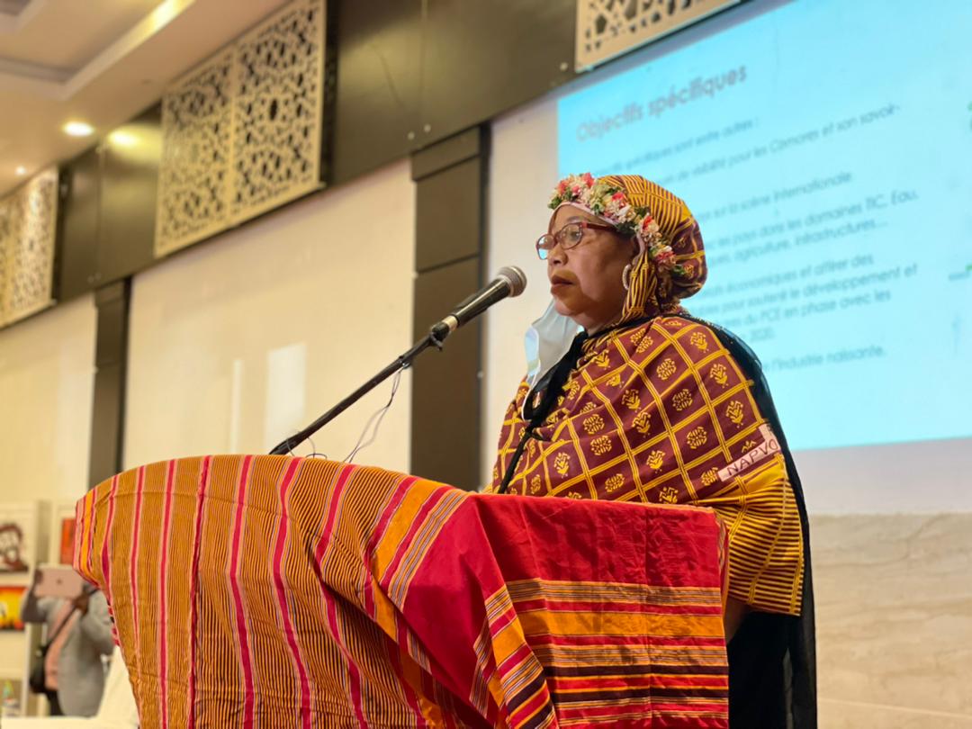 image Exposition universelle et culturelle de Dubaï : Organisateurs et artistes s'engagent pour un résultat parfait