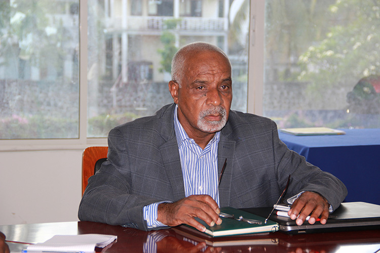 image Plantations de vanille  / Plus de 27 forêts brûlées dans la région de Mbadjini