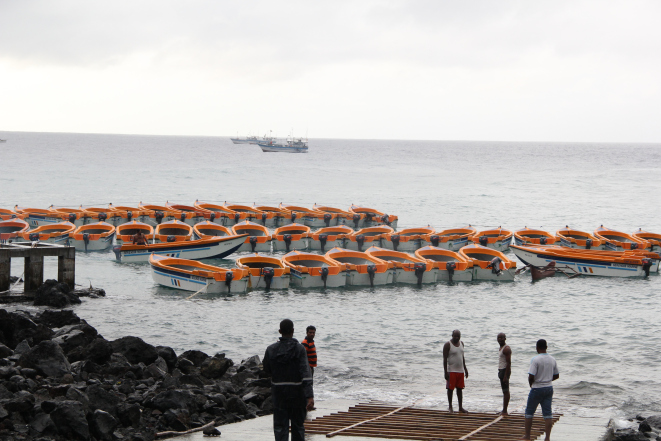 Emploi : Pourquoi la société nationale de pêche est toujours en veilleuse ?