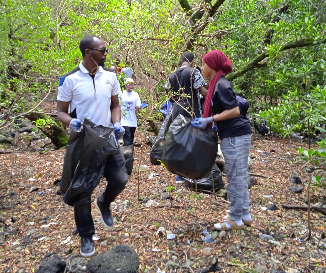 image Ngo’shawo appelle à protéger les mangroves